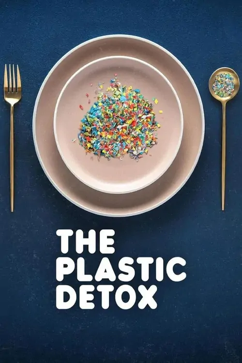 Plastik Detoksu